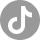 tiktok in logo